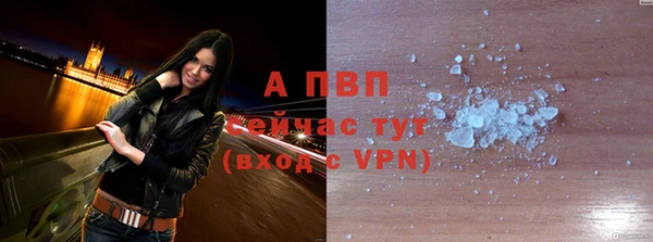 сатива Гусиноозёрск