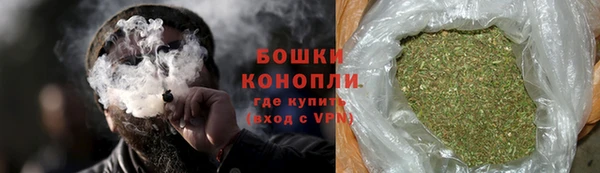 сатива Гусиноозёрск