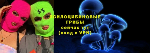 сатива Гусиноозёрск