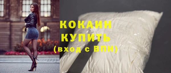 сатива Гусиноозёрск