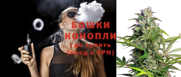 сатива Гусиноозёрск